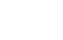 Vector